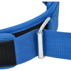 RDX SPORTS RDX RX5 Weightlifting Belt -Rdx Sports rx5 weightlifting belt blue 8