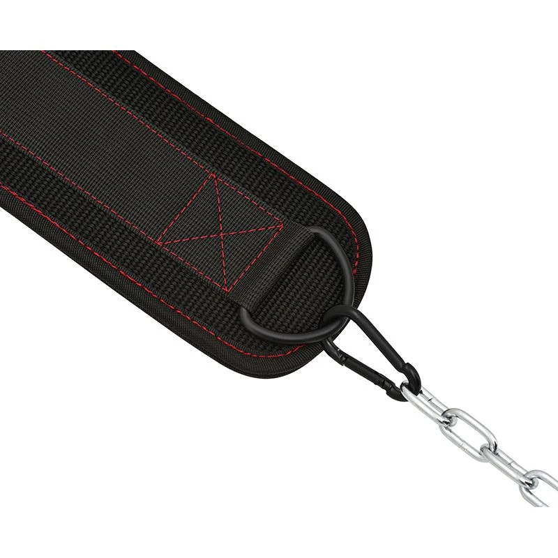 RDX SPORTS RDX T7 Weight Training Dipping Belt With Chain 7 RDX SPORTS RDX T7 Weight Training Dipping Belt With Chain - Image 5